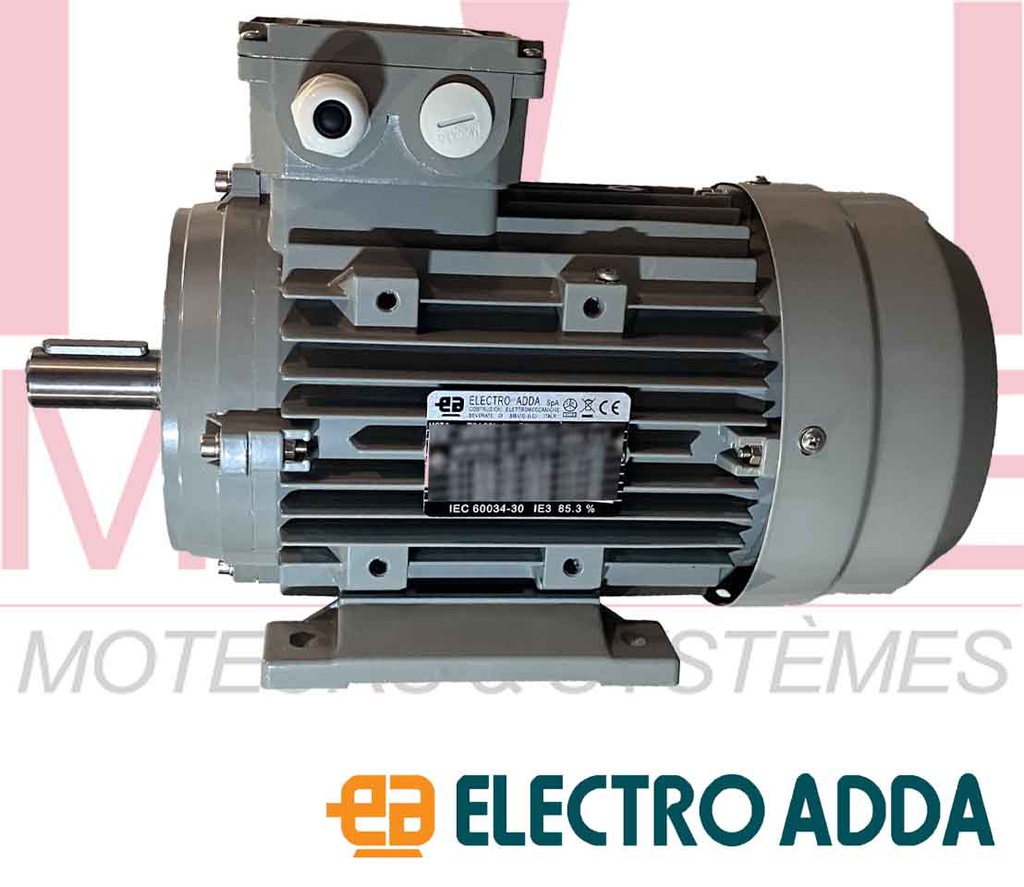 Moteur électrique triphasé 400/690v 3000 tr/min 4Kw | Motive
